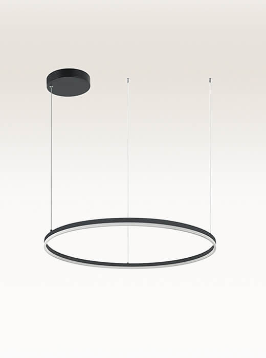 22241 PENDANT LIGHT