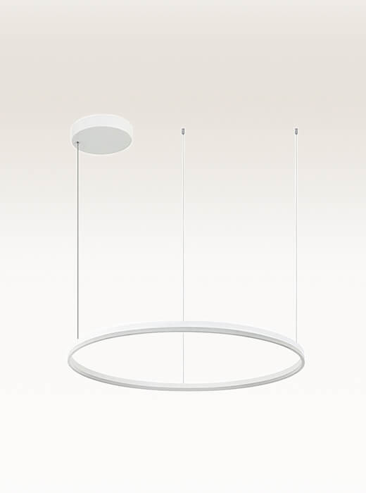 22241 PENDANT LIGHT