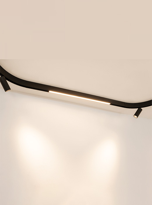 22277 CURVED TRACK MAGNETIC SYSTEM