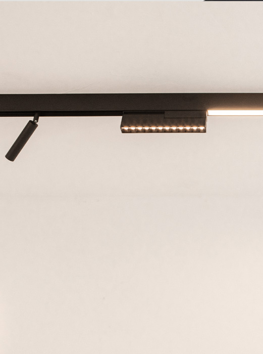 LINEAR MAGNETIC SYSTEM 20291