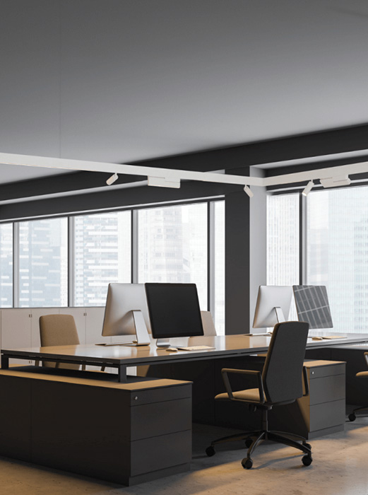 LINEAR MAGNETIC SYSTEM 20291-W